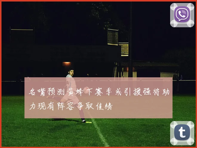 名嘴预测黄蜂下赛季或引援强将助力现有阵容争取佳绩